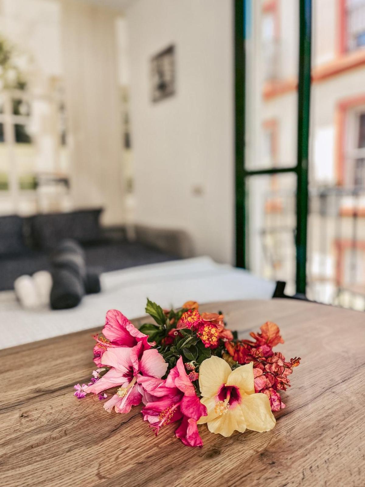 Harmony Free Garage Shared Roof Terrace Malaga