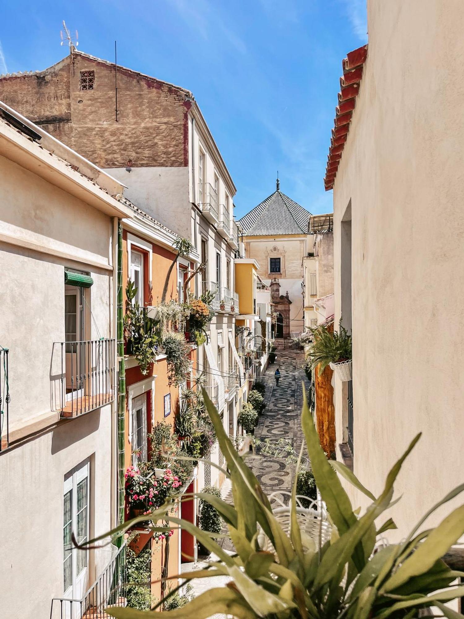 Apartment Harmony Free Garage Shared Roof Terrace Malaga