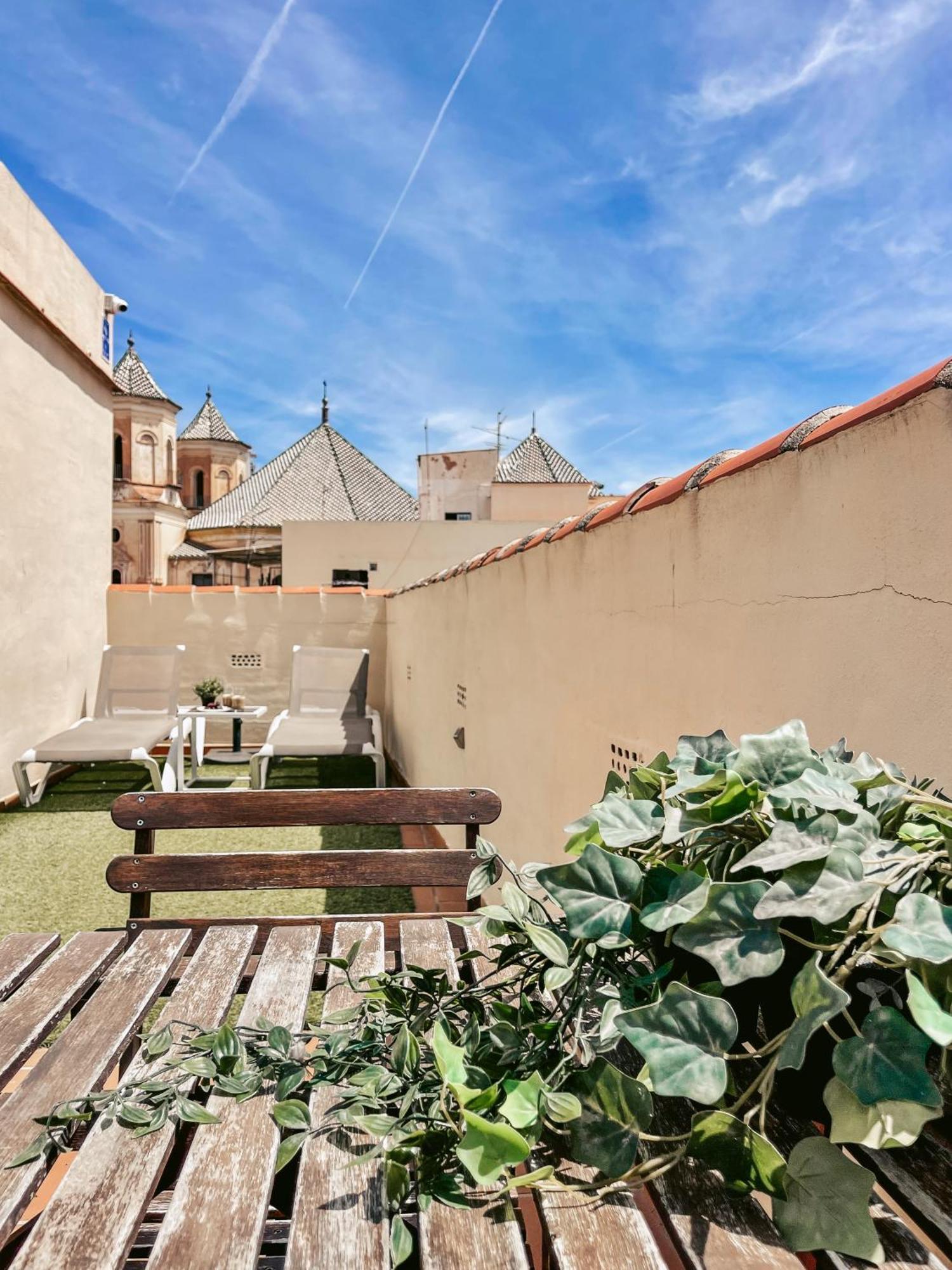 Harmony Free Garage Shared Roof Terrace * Malaga