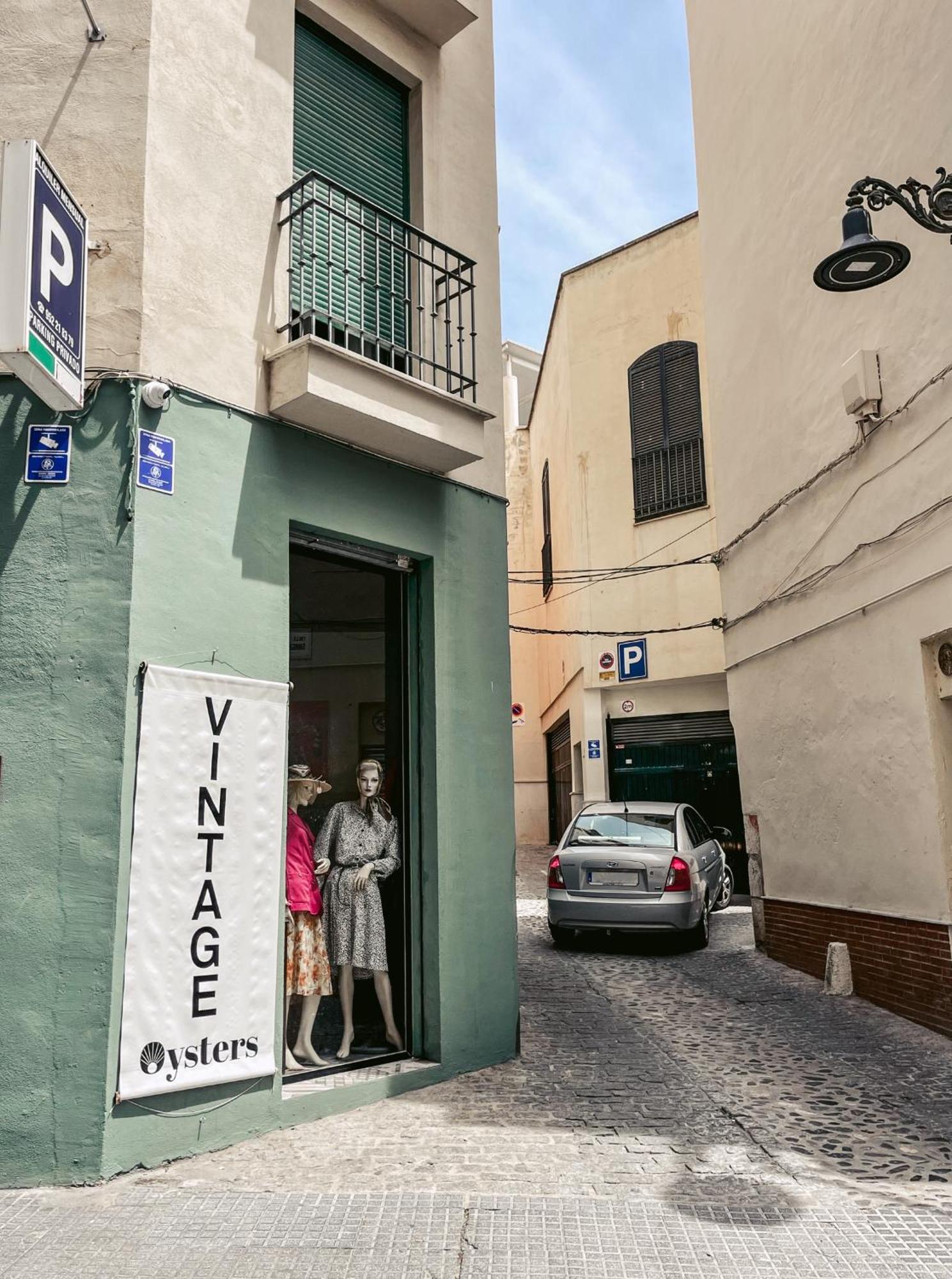 Harmony Free Garage Shared Roof Terrace * Malaga