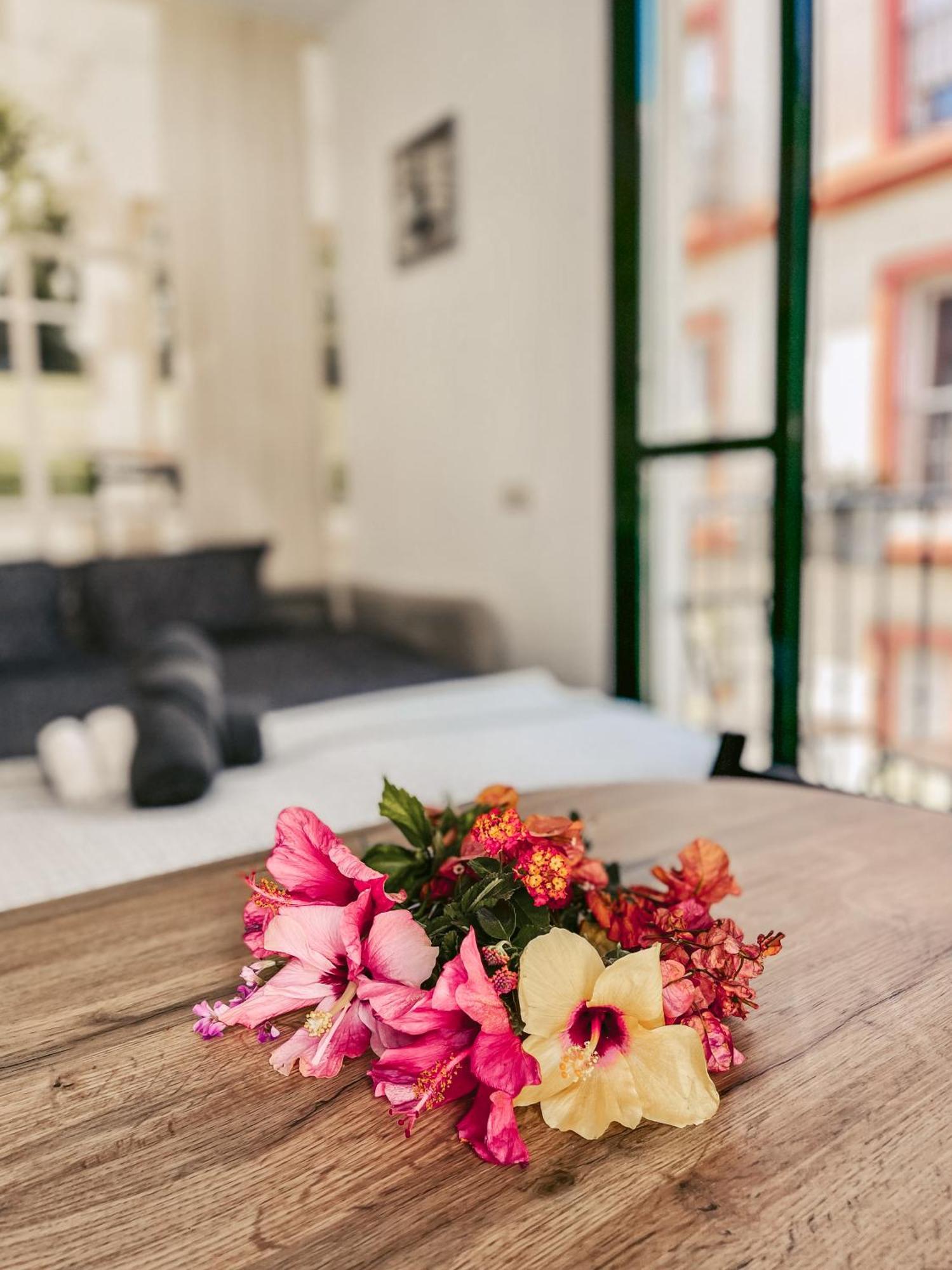 Harmony Free Garage Shared Roof Terrace Apartment